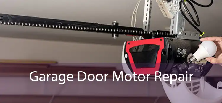 Garage Door Motor Repair