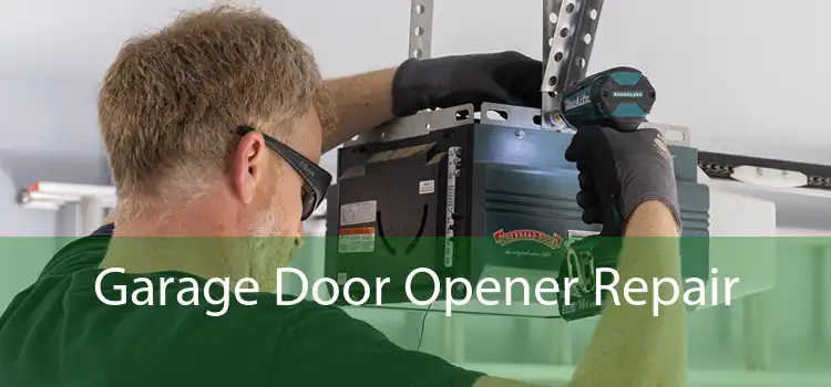 Garage Door Opener Repair