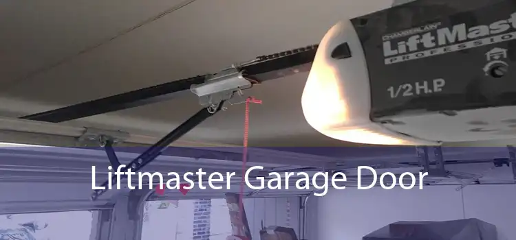 Liftmaster Garage Door